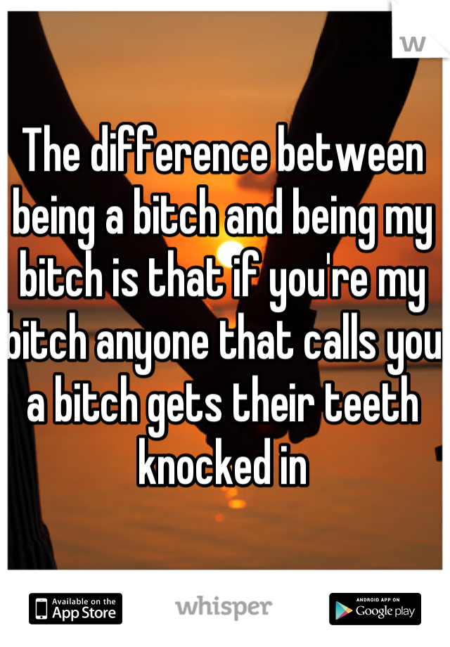 The difference between being a bitch and being my bitch is that if you're my bitch anyone that calls you a bitch gets their teeth knocked in