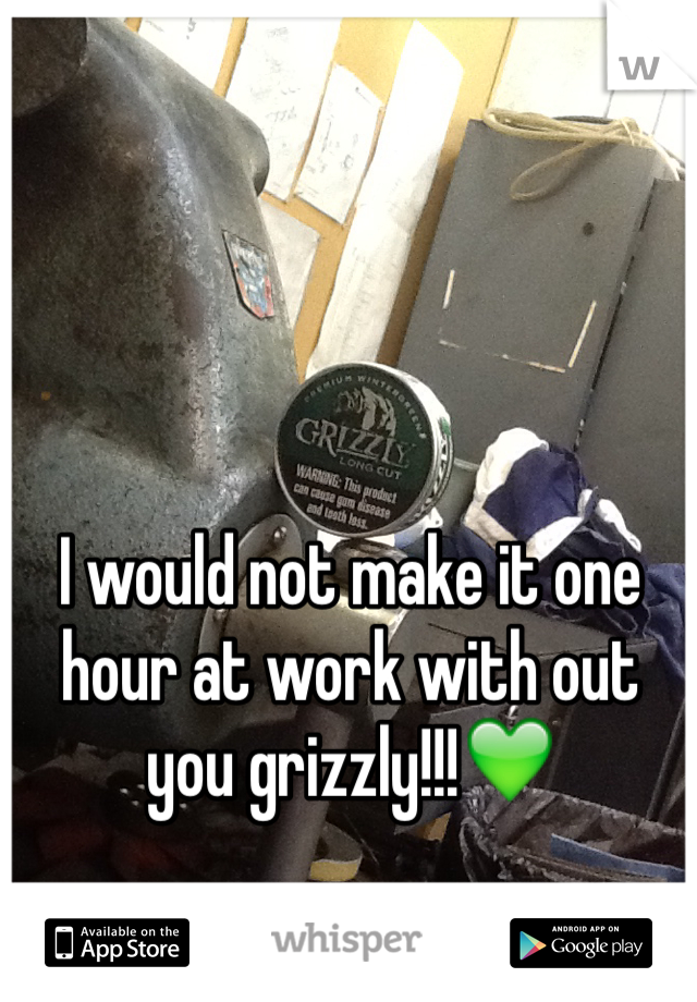 I would not make it one hour at work with out you grizzly!!!💚
