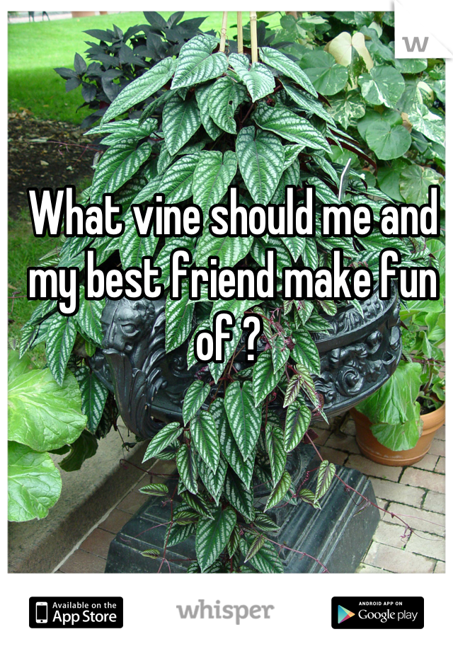 What vine should me and my best friend make fun of ? 