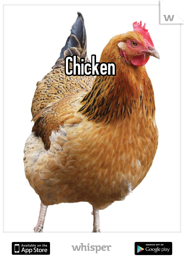Chicken 