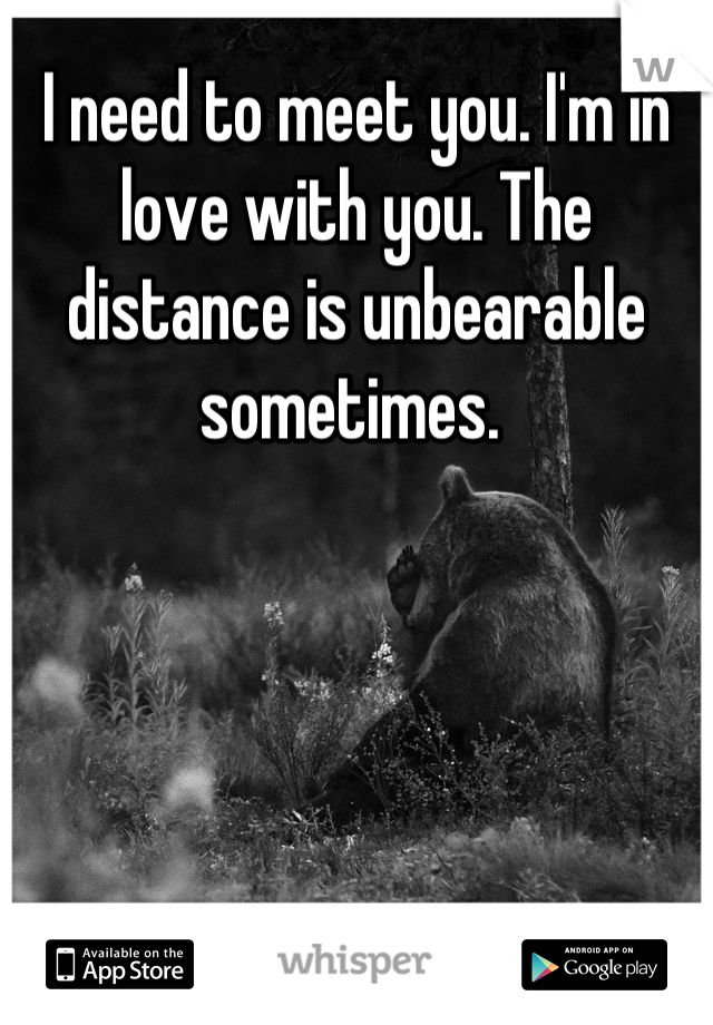 I need to meet you. I'm in love with you. The distance is unbearable sometimes. 