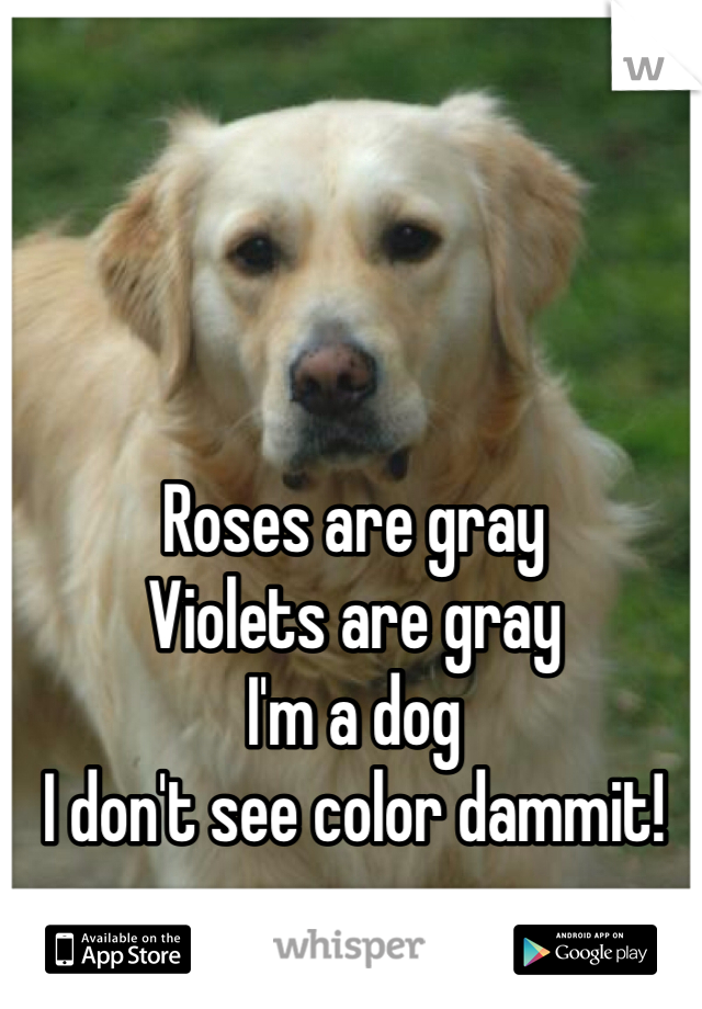 Roses are gray
Violets are gray
I'm a dog
I don't see color dammit!
