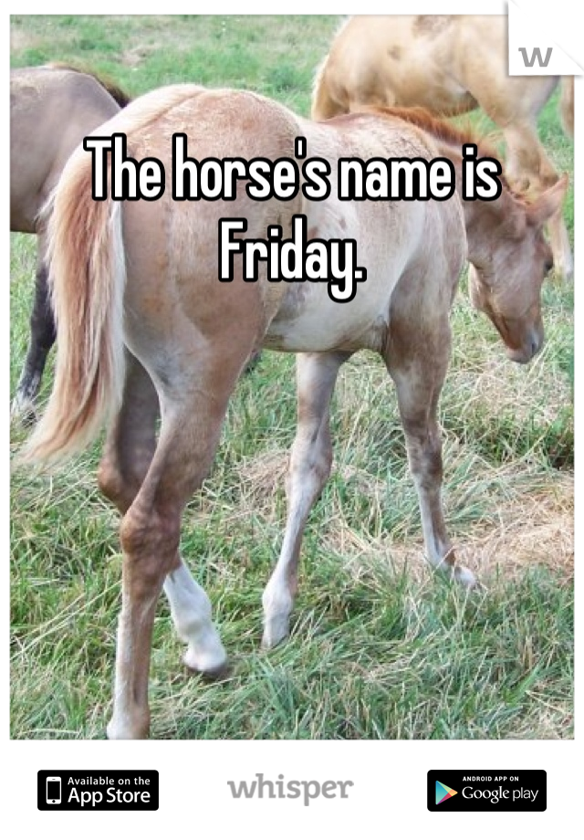 The horse's name is Friday.