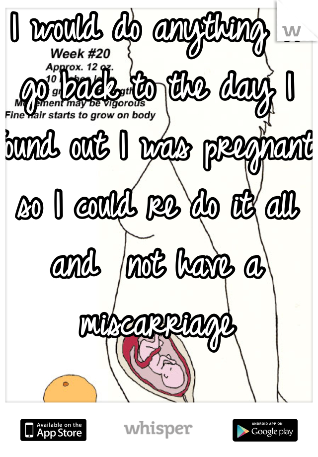 I would do anything to go back to the day I found out I was pregnant so I could re do it all and  not have a miscarriage 