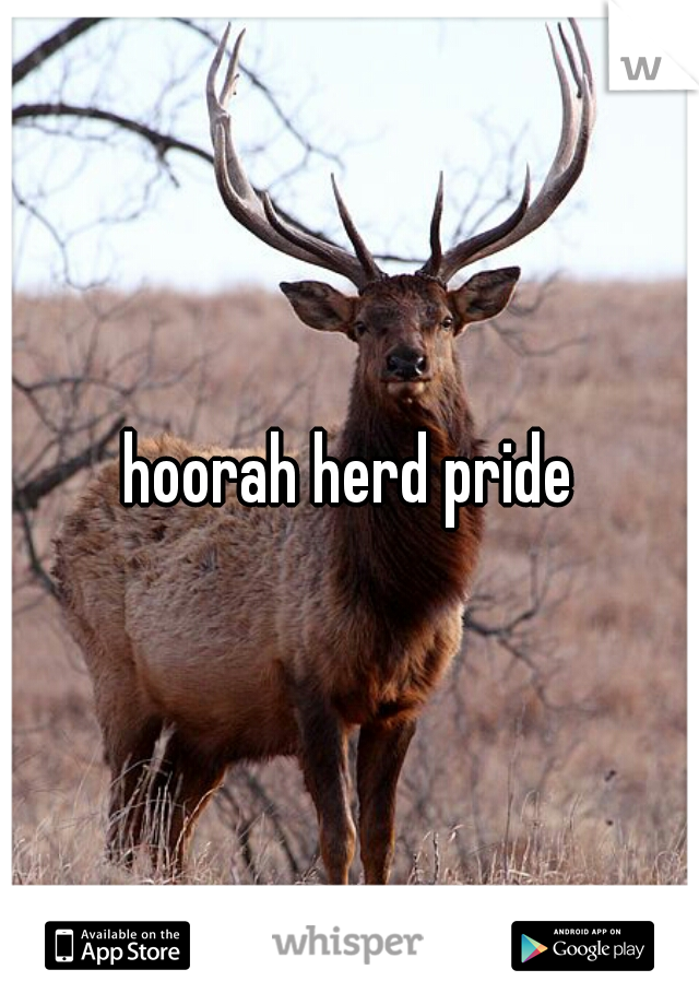 hoorah herd pride