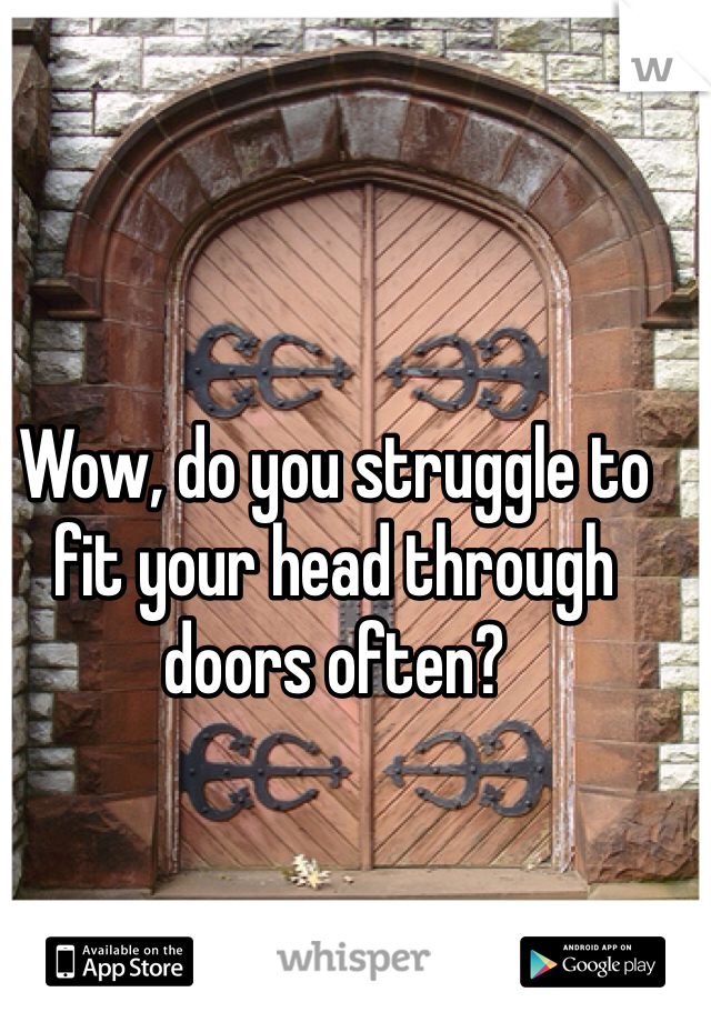 Wow, do you struggle to fit your head through doors often?
