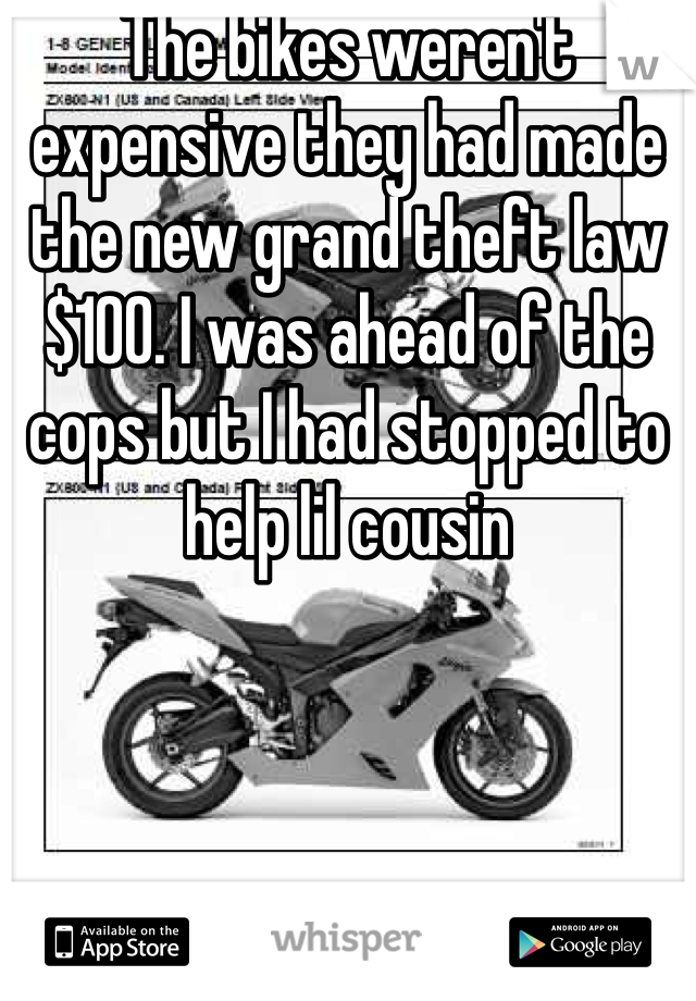 The bikes weren't expensive they had made the new grand theft law $100. I was ahead of the cops but I had stopped to help lil cousin