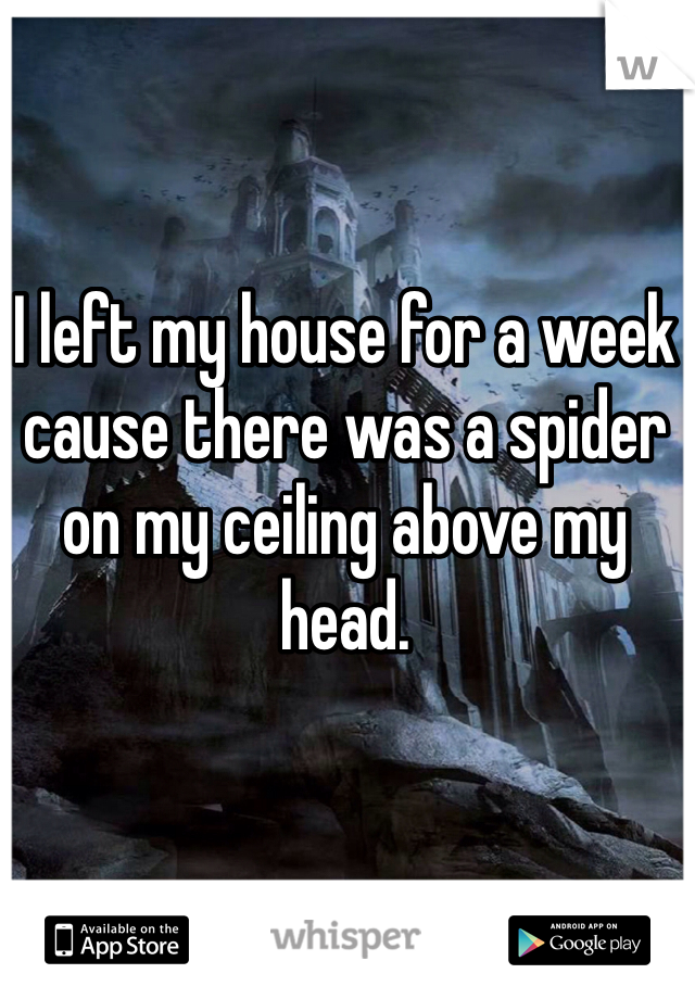 I left my house for a week cause there was a spider on my ceiling above my head. 