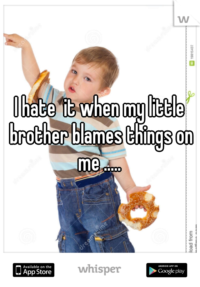 I hate  it when my little brother blames things on me ..... 