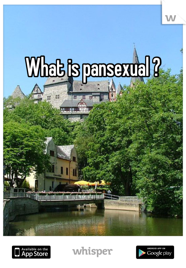 What is pansexual ?