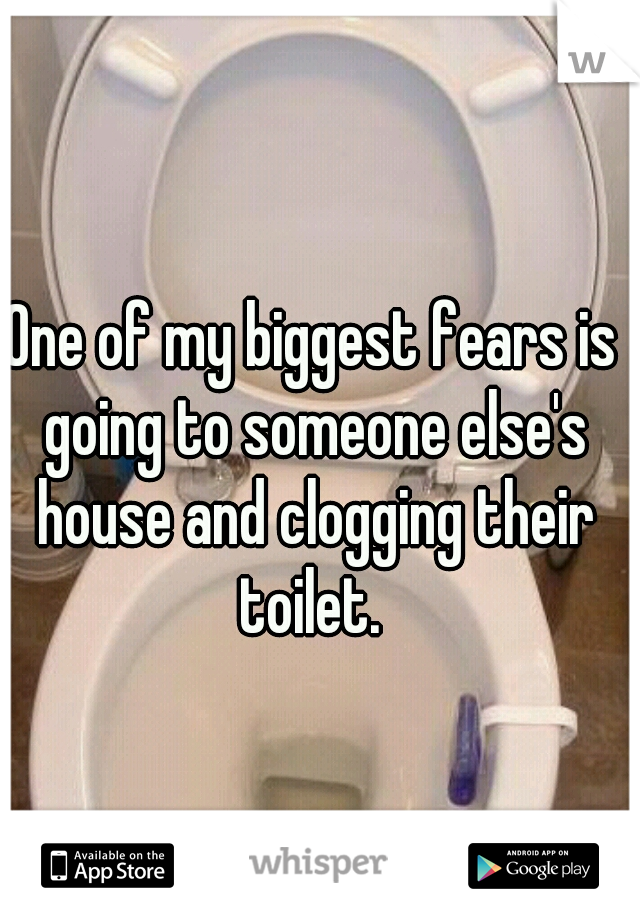 One of my biggest fears is going to someone else's house and clogging their toilet. 