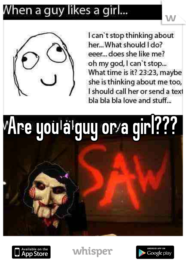 Are you a guy or a girl???