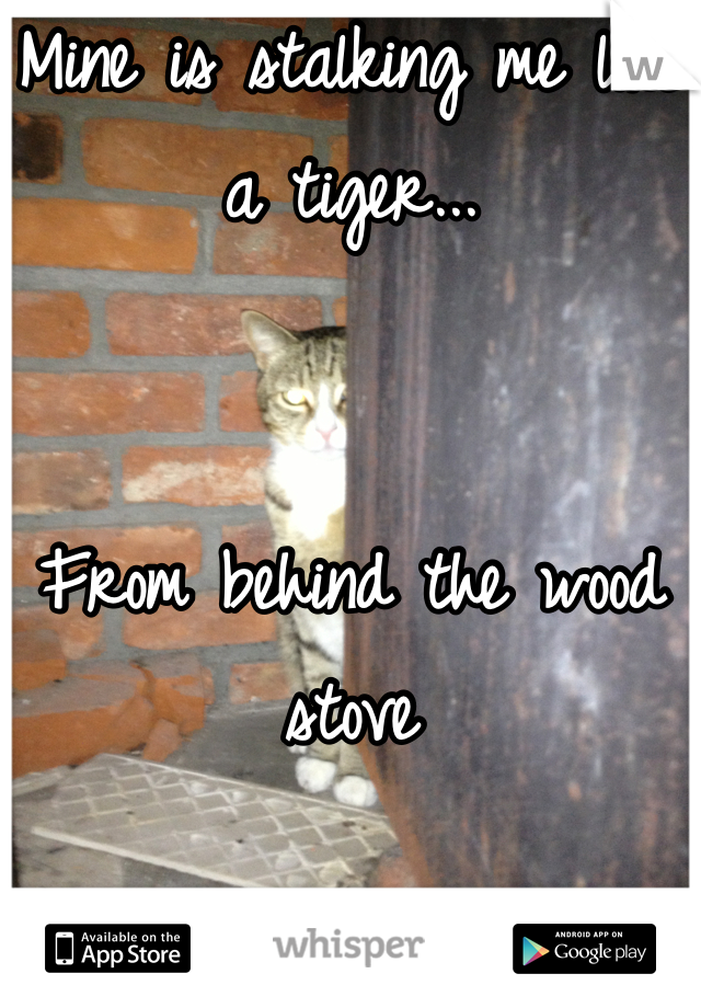Mine is stalking me like a tiger...


From behind the wood stove
