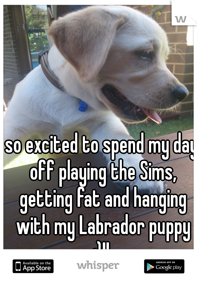 so excited to spend my day off playing the Sims, getting fat and hanging with my Labrador puppy :)!! 