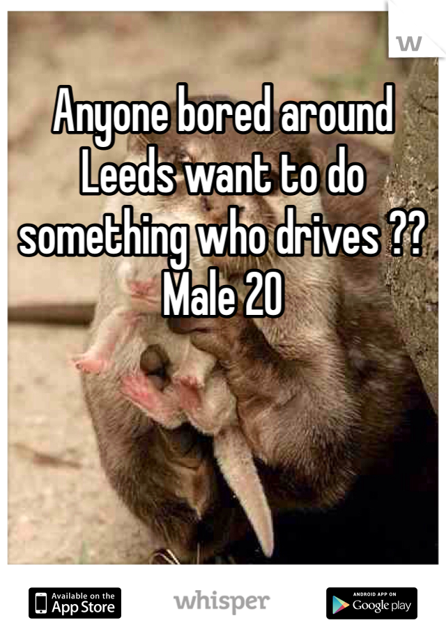 Anyone bored around Leeds want to do something who drives ?? Male 20 