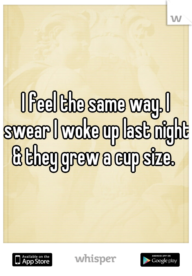 I feel the same way. I swear I woke up last night & they grew a cup size.  