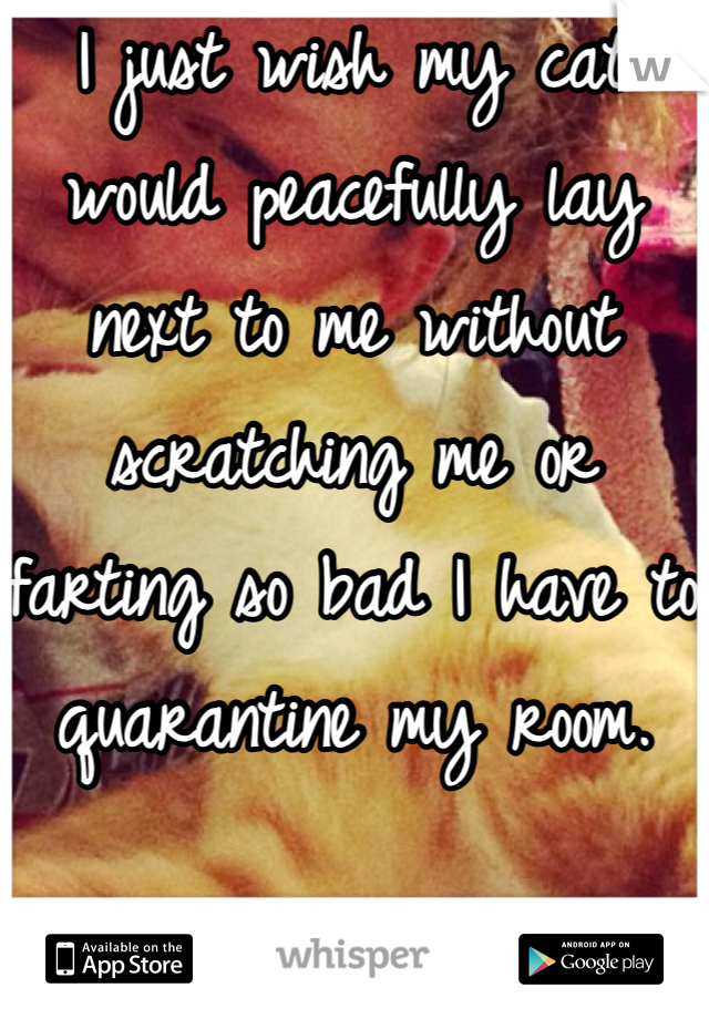 I just wish my cat would peacefully lay next to me without scratching me or farting so bad I have to quarantine my room.