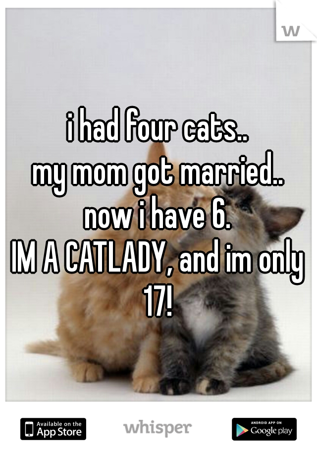 i had four cats..
my mom got married..
now i have 6.
IM A CATLADY, and im only 17! 