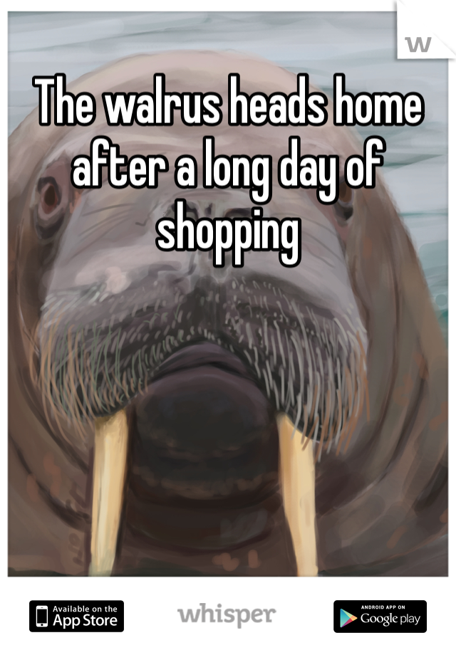 The walrus heads home after a long day of shopping 