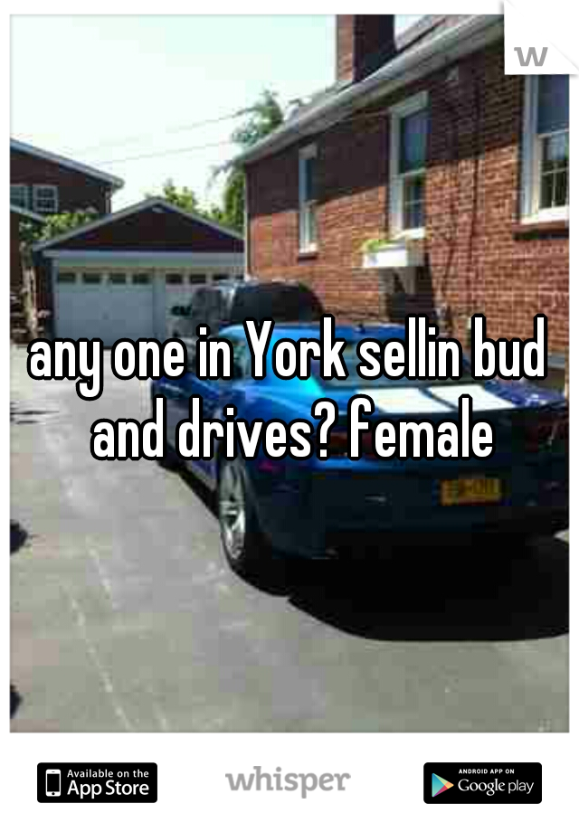 any one in York sellin bud and drives? female