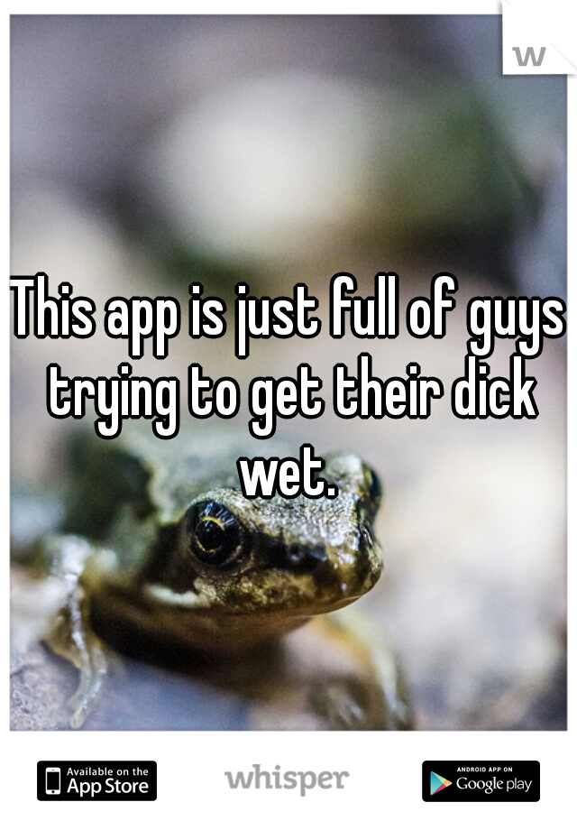 This app is just full of guys trying to get their dick wet. 
