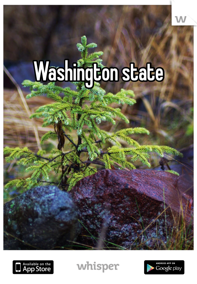 Washington state