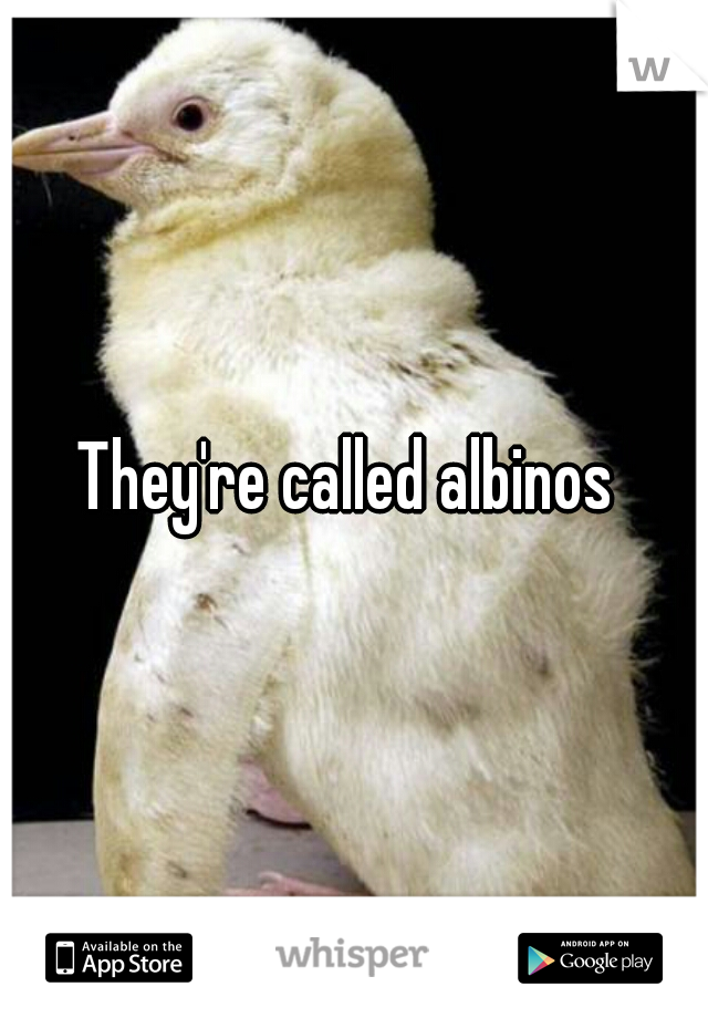 They're called albinos 
