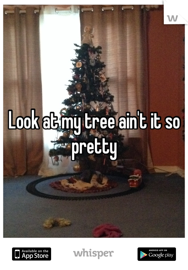 Look at my tree ain't it so pretty