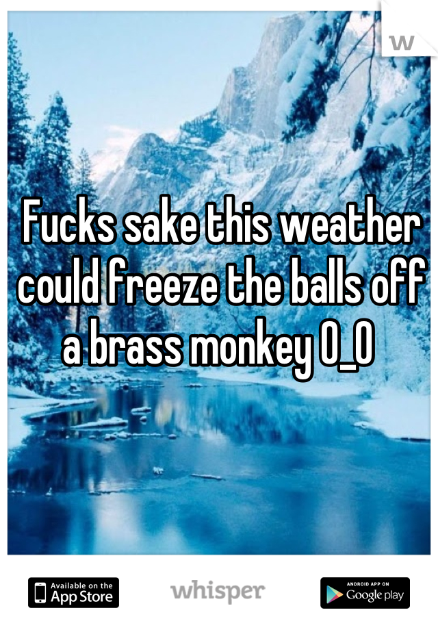 Fucks sake this weather could freeze the balls off a brass monkey O_O 