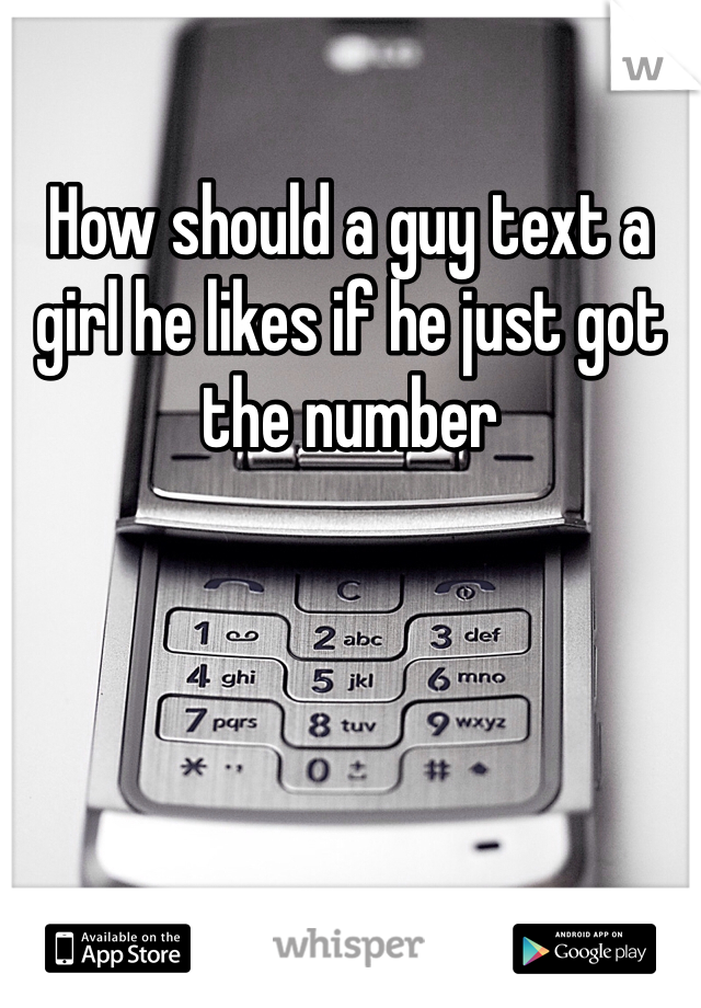 How should a guy text a girl he likes if he just got the number 