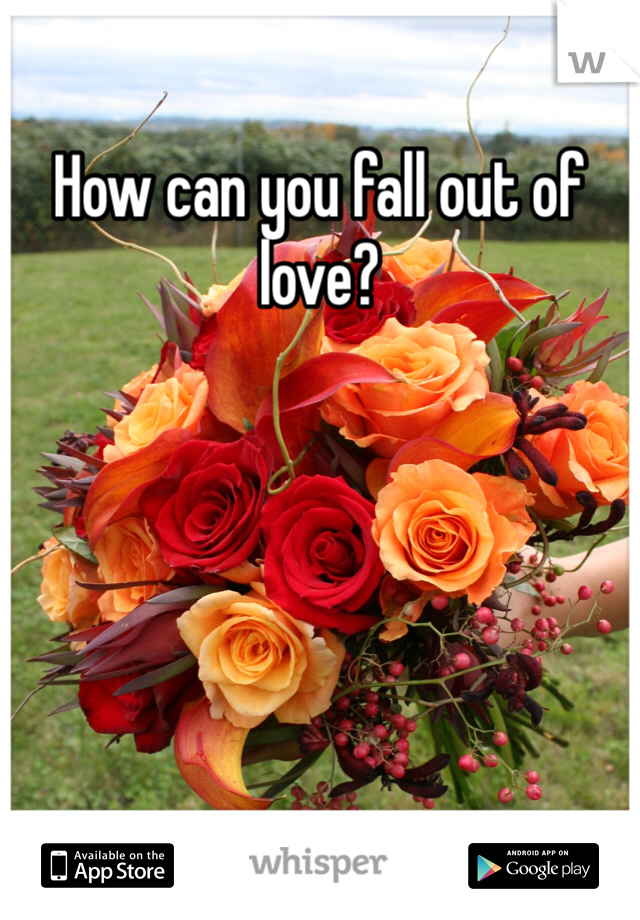 How can you fall out of love?