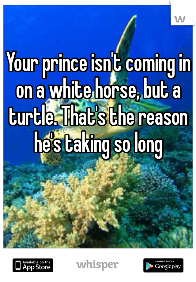 Your prince isn't coming in on a white horse, but a turtle. That's the reason he's taking so long