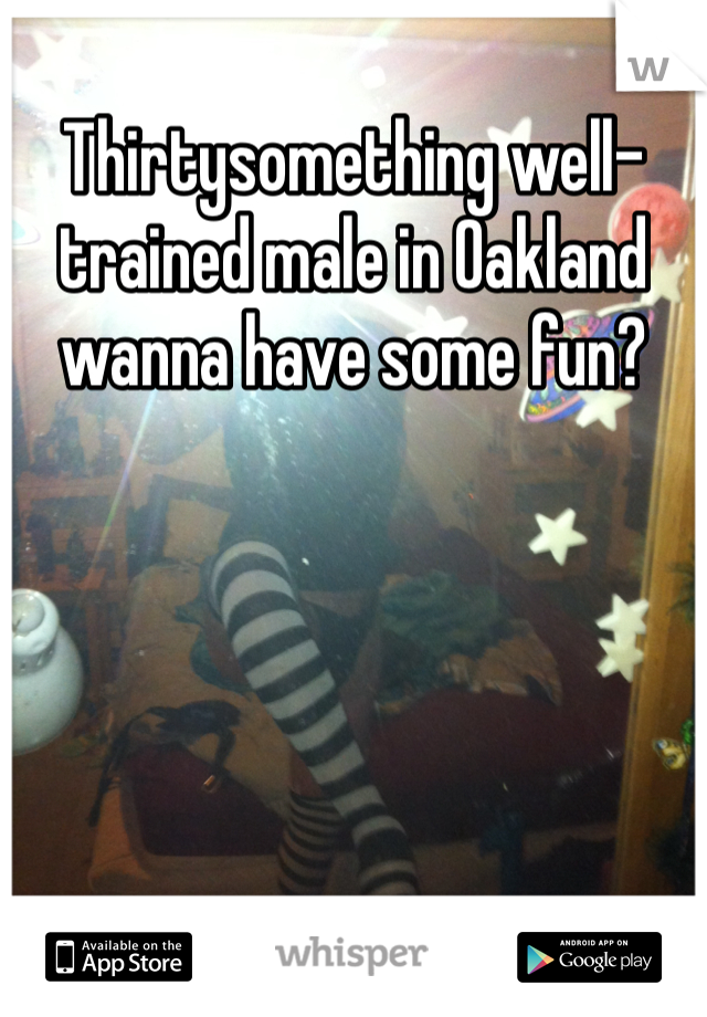 Thirtysomething well-trained male in Oakland wanna have some fun? 