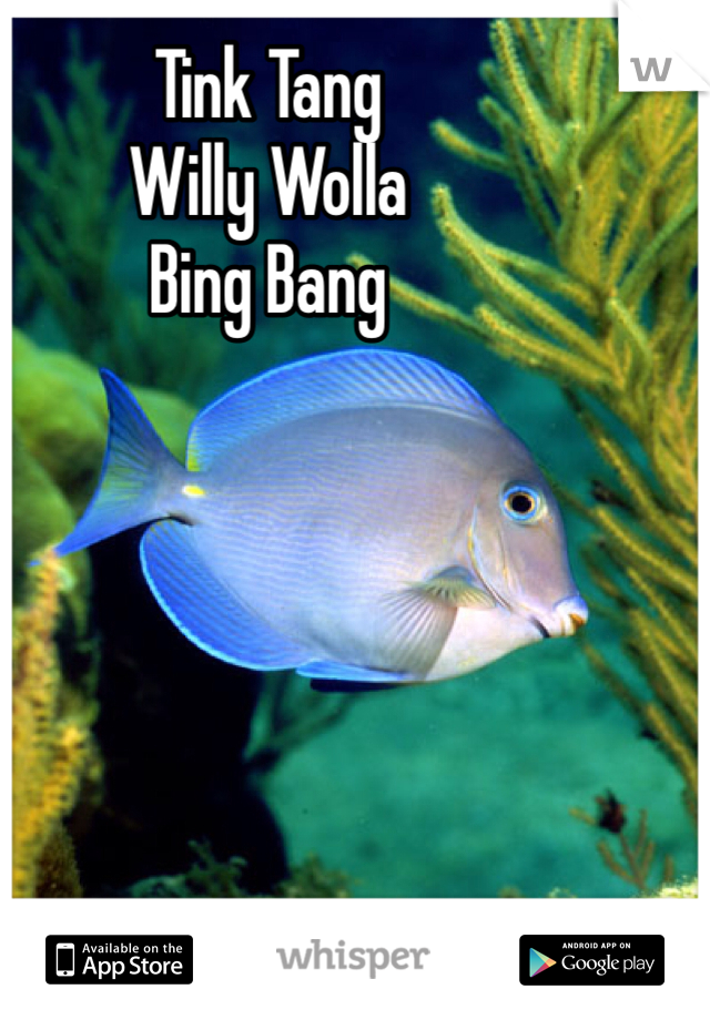Tink Tang
Willy Wolla 
Bing Bang