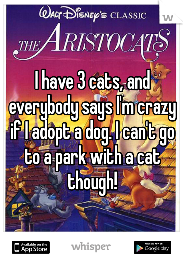 I have 3 cats, and everybody says I'm crazy if I adopt a dog. I can't go to a park with a cat though!