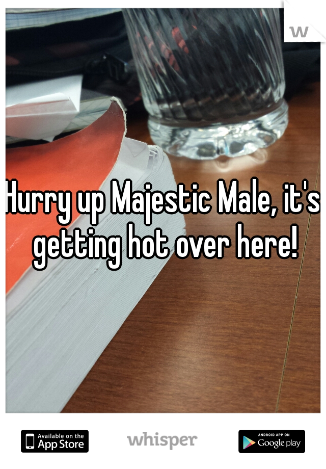 Hurry up Majestic Male, it's getting hot over here!