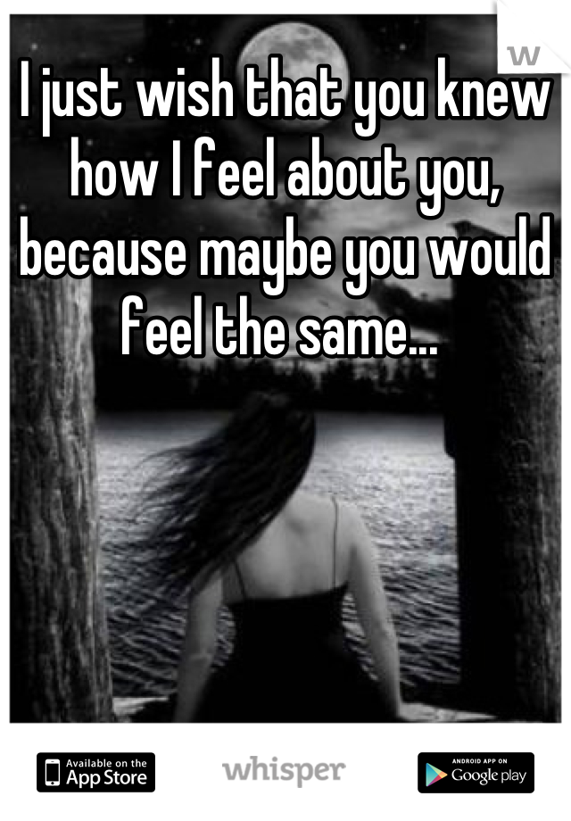 I just wish that you knew how I feel about you, because maybe you would feel the same... 