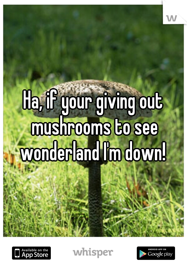 Ha, if your giving out mushrooms to see wonderland I'm down! 