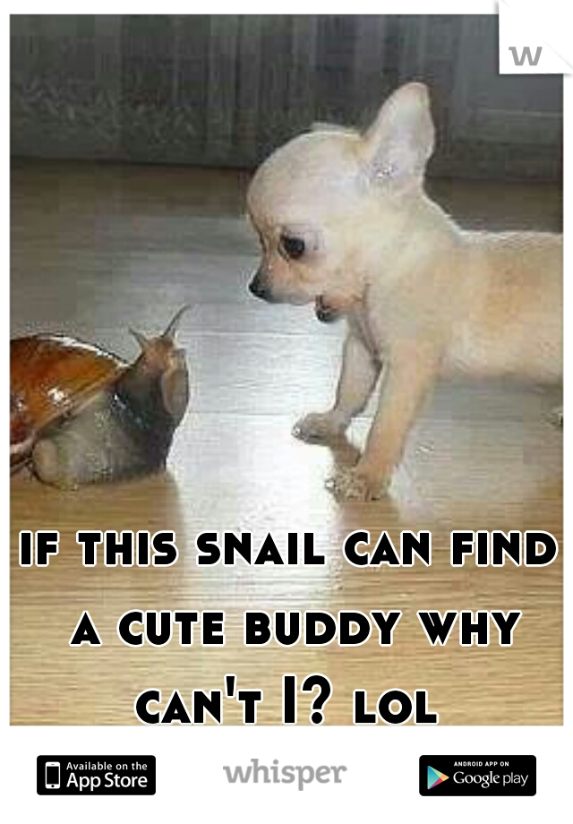if this snail can find a cute buddy why can't I? lol 