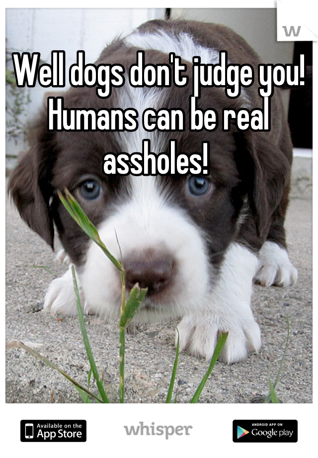 Well dogs don't judge you! Humans can be real assholes! 
