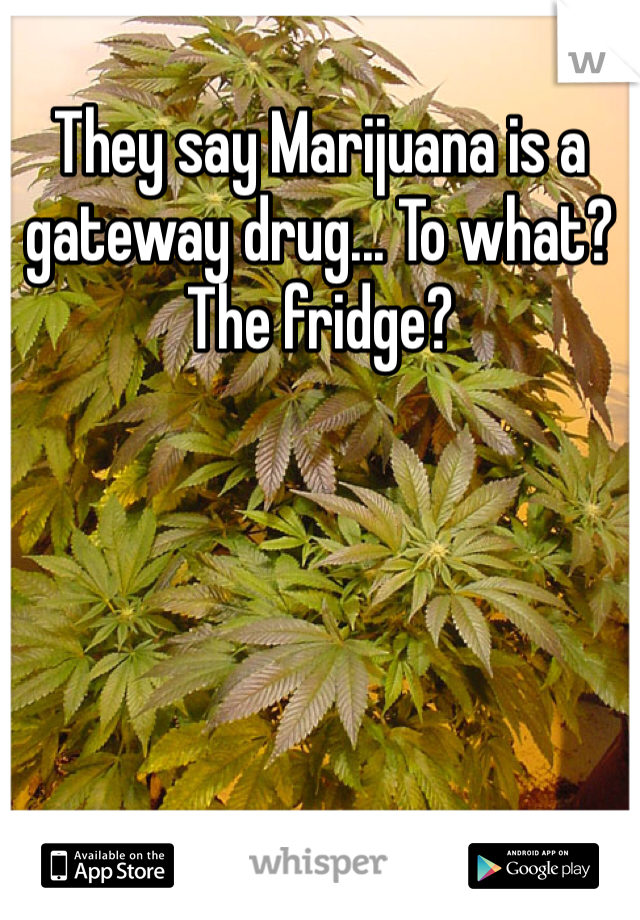 They say Marijuana is a gateway drug... To what? The fridge?