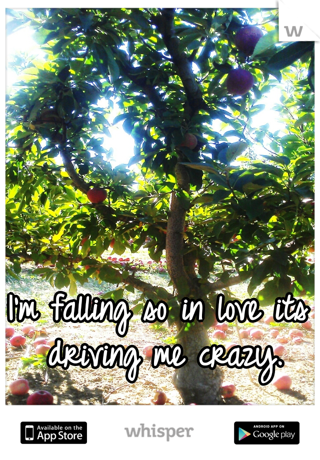 I'm falling so in love its driving me crazy.