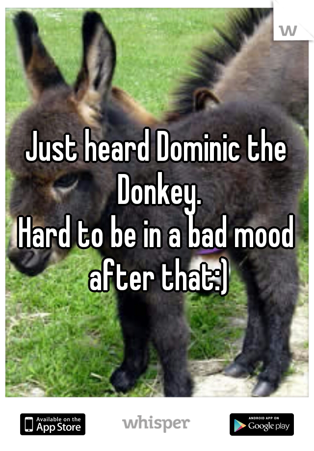 Just heard Dominic the Donkey.
Hard to be in a bad mood after that:)
