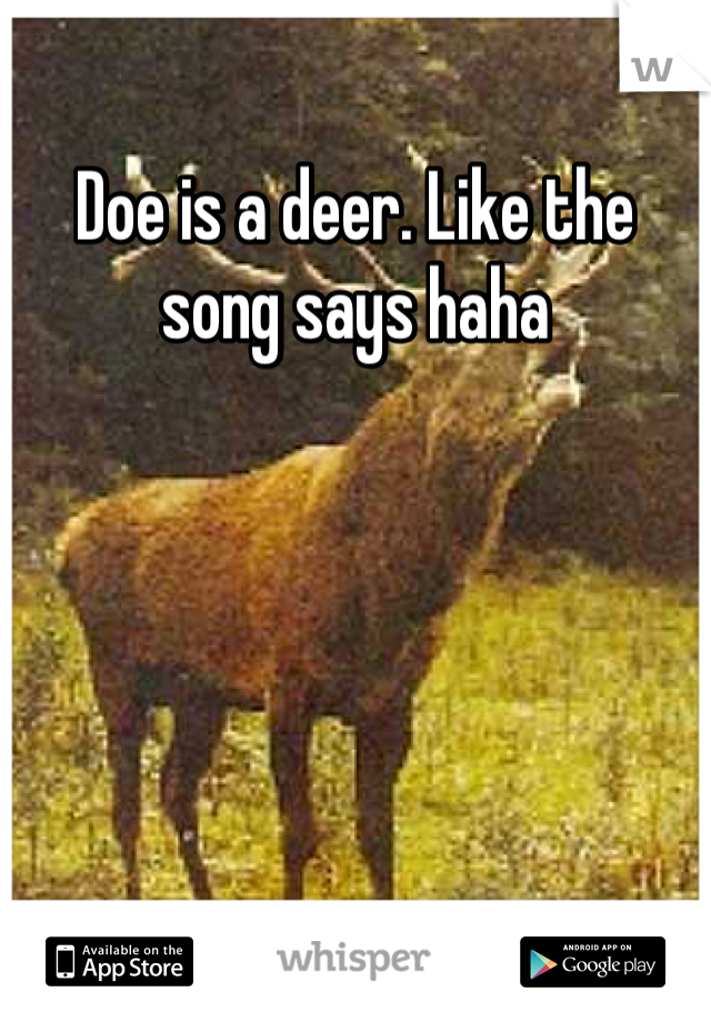 Doe is a deer. Like the song says haha