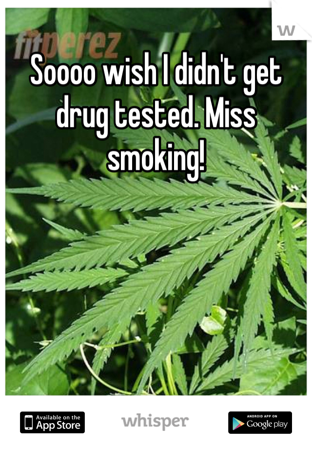 Soooo wish I didn't get drug tested. Miss smoking! 