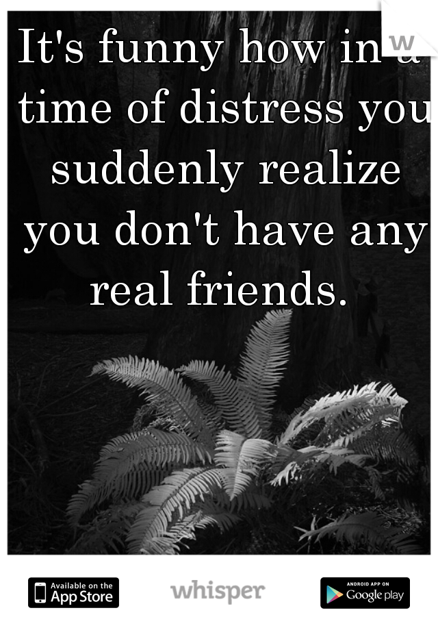 It's funny how in a time of distress you suddenly realize you don't have any real friends. 