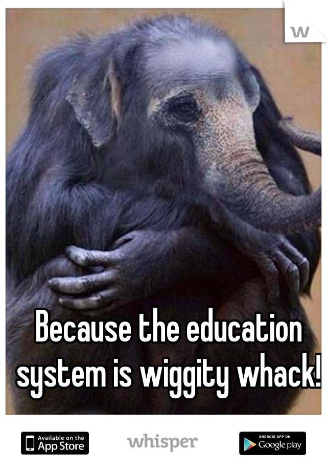Because the education system is wiggity whack!