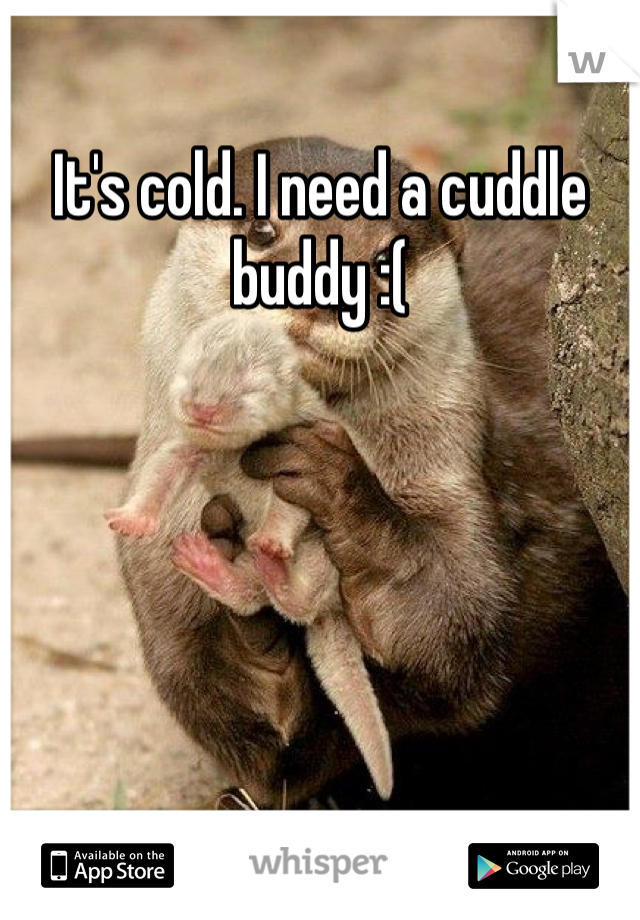 It's cold. I need a cuddle buddy :(