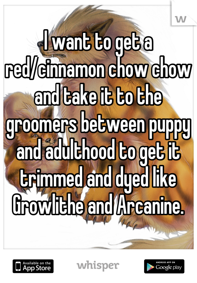 I want to get a red/cinnamon chow chow and take it to the groomers between puppy and adulthood to get it trimmed and dyed like Growlithe and Arcanine.