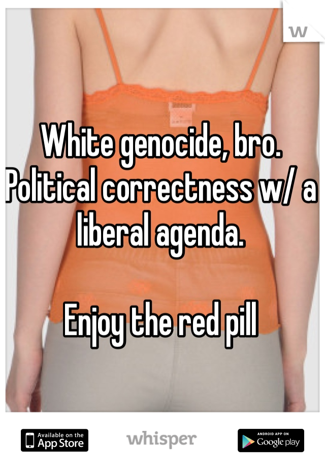 White genocide, bro. 
Political correctness w/ a liberal agenda.

Enjoy the red pill